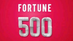 2022 年《財(cái)富》中國(guó)500強(qiáng)揭曉：中石化第一 京東、中國(guó)移動(dòng)進(jìn)入前十