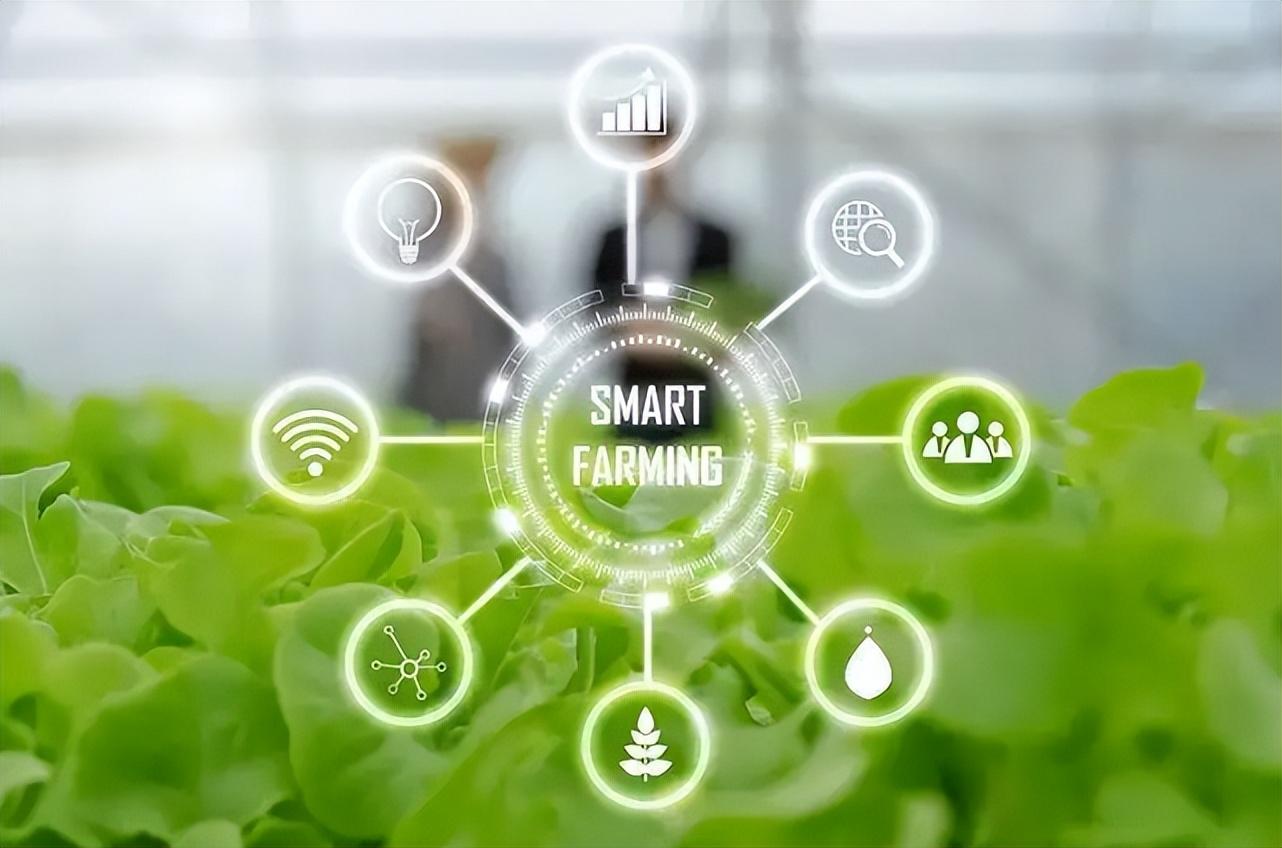 智慧農(nóng)業(yè)物聯(lián)網(wǎng)的未來(lái)在哪里？