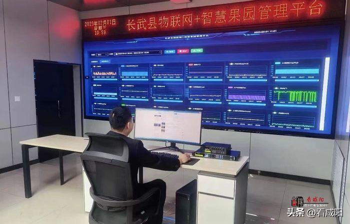 物聯網+智慧農業 推進長武縣數字農業建設高質量發展