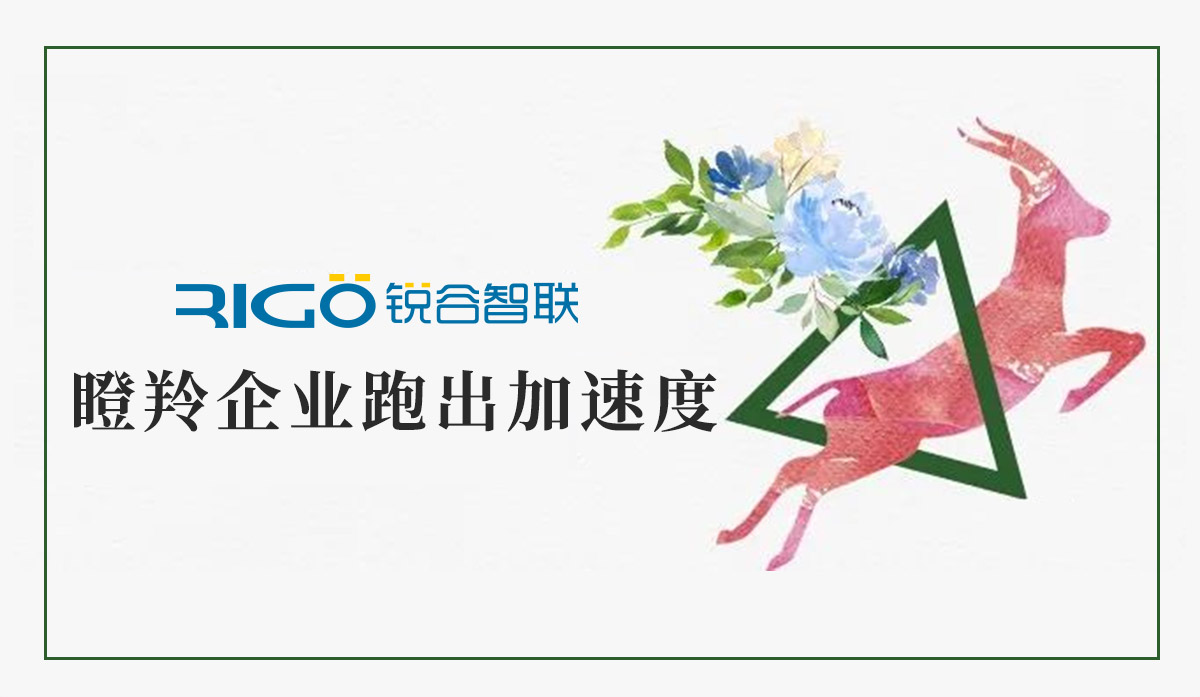 火炬高新區助力“瞪羚”企業跑出加速度，超半數分布廈門軟件園